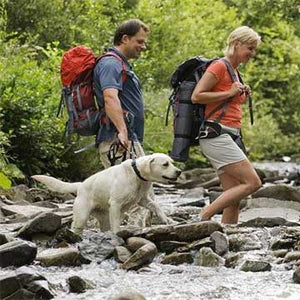 Safely Hiking or Backpacking With Your Dog