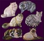 Kitty Magnets, Set of 6