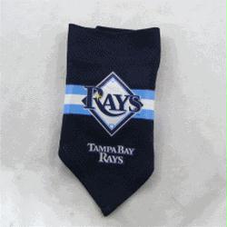 Tampa Bay Rays Mesh Dog Bandana