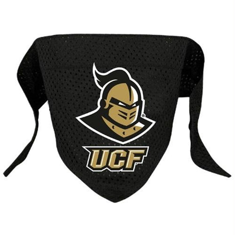 UCF Knights Pet Mesh Bandana