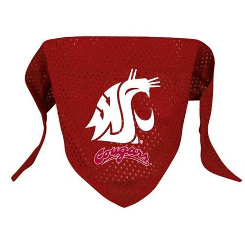 Washington State Pet Mesh Bandana