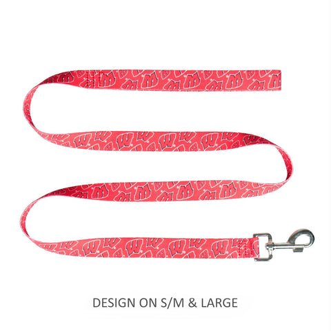 Wisconsin Badgers Pet Nylon Leash - XS