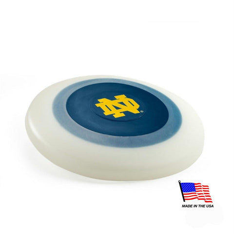 Notre Dame ZOOM Flyer