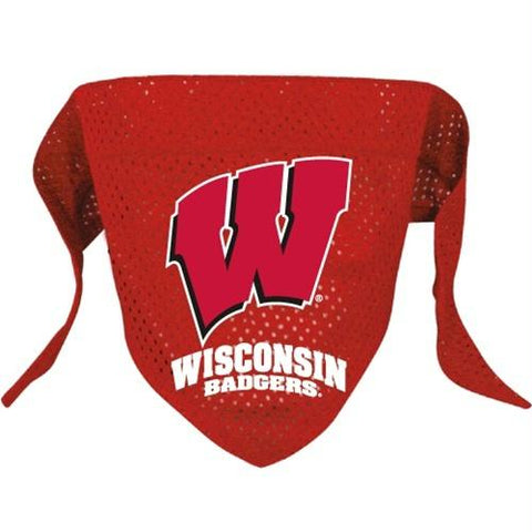 Wisconsin Badgers Mesh Pet Bandana