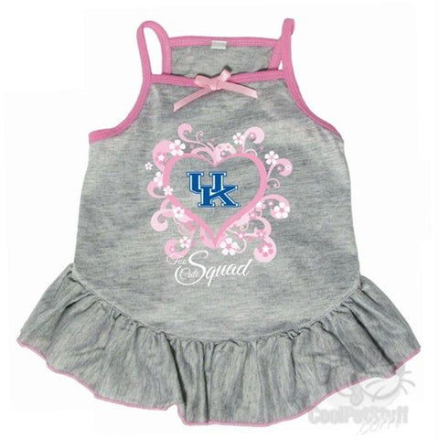 Kentucky Wildcats