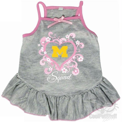 Michigan Wolverines