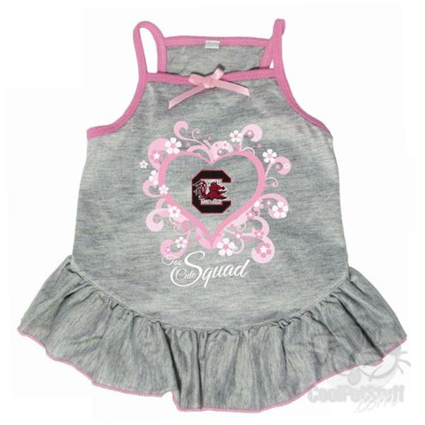 South Carolina Gamecocks