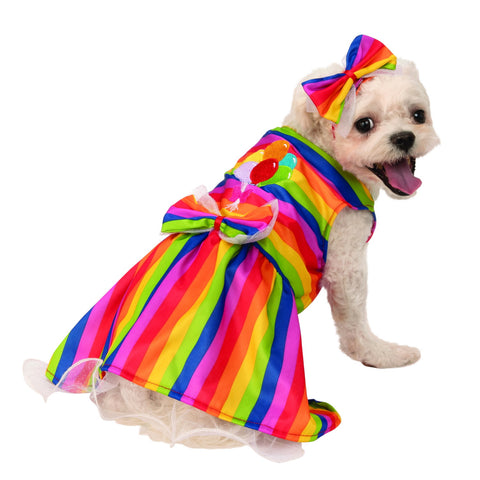 Rainbow Party Pet Costume - XL