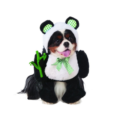Walking Panda Pet Costume - XL
