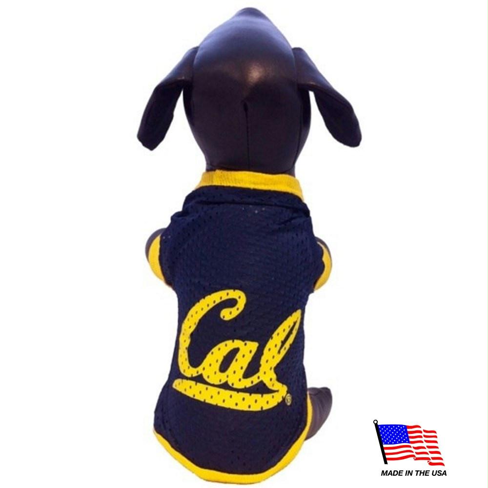 University of California Berkeley Golden Bears Herringbone Designer Novelty Dog  Collar – Custom Design Dog Collars