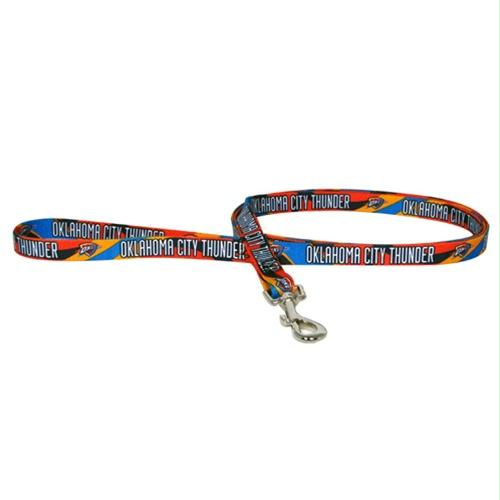 city thunder thunder leash petco